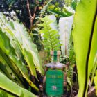 Pothecary Gin 'Thai' Blend - Very limited stock! - Image 3